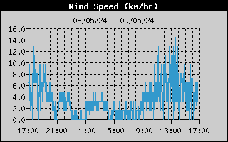 Grafico VelocitÃƒÂ  del vento OFF-LINE