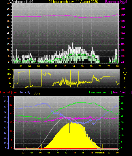 24 Hour Graph for Day 11